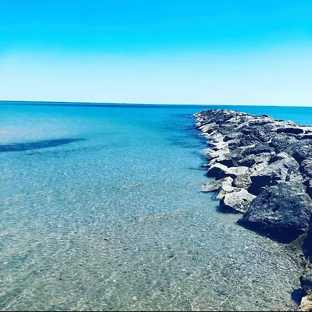 Studio Cosy Les Pieds Dans L'eau 아파트